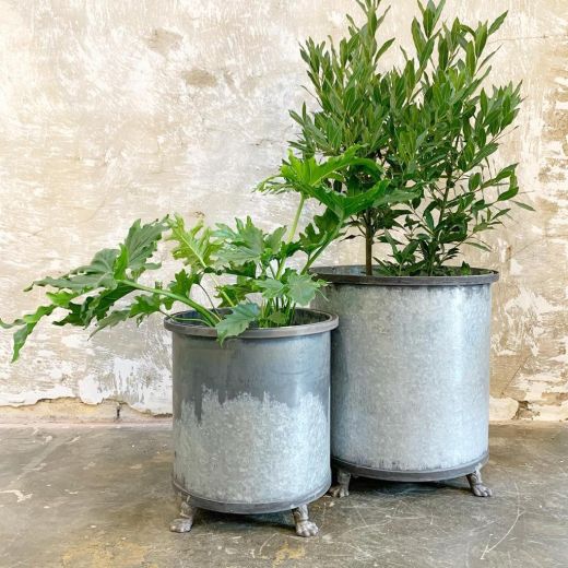 Steel Planters with Tiger Feet.