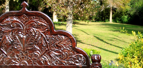 garden ideas